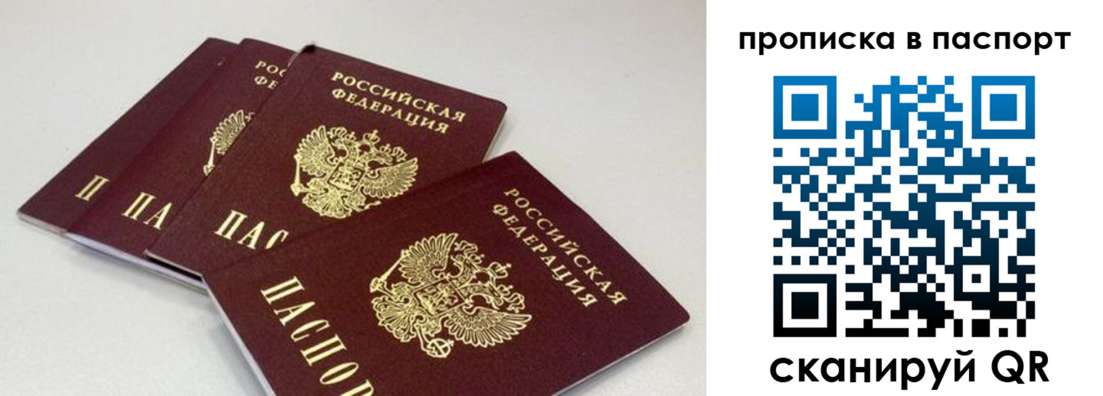найти адрес прописки в Бородино